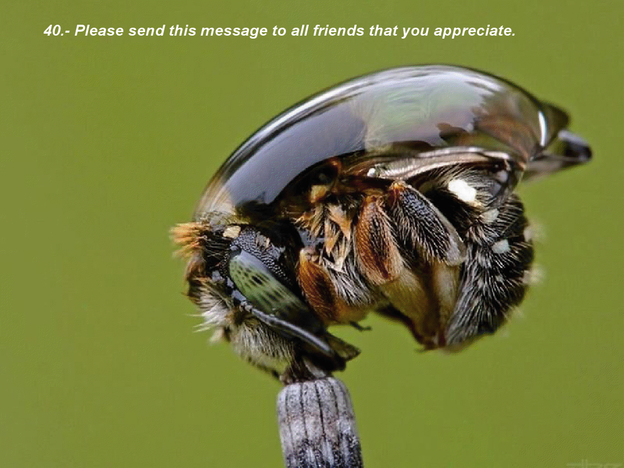 gview_038.png