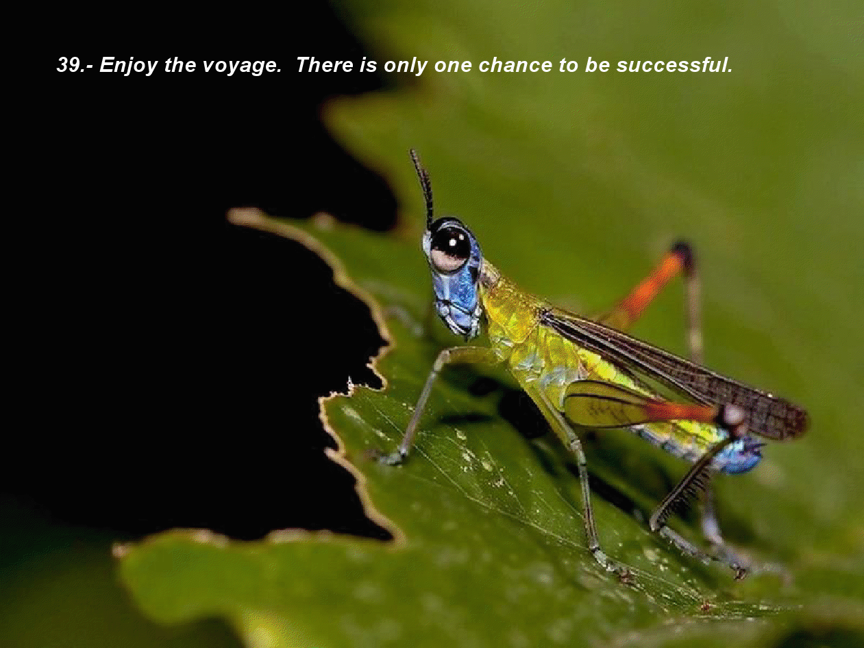 gview_039.png