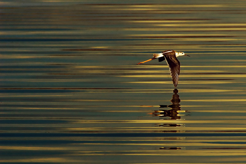 untitled 35.jpg