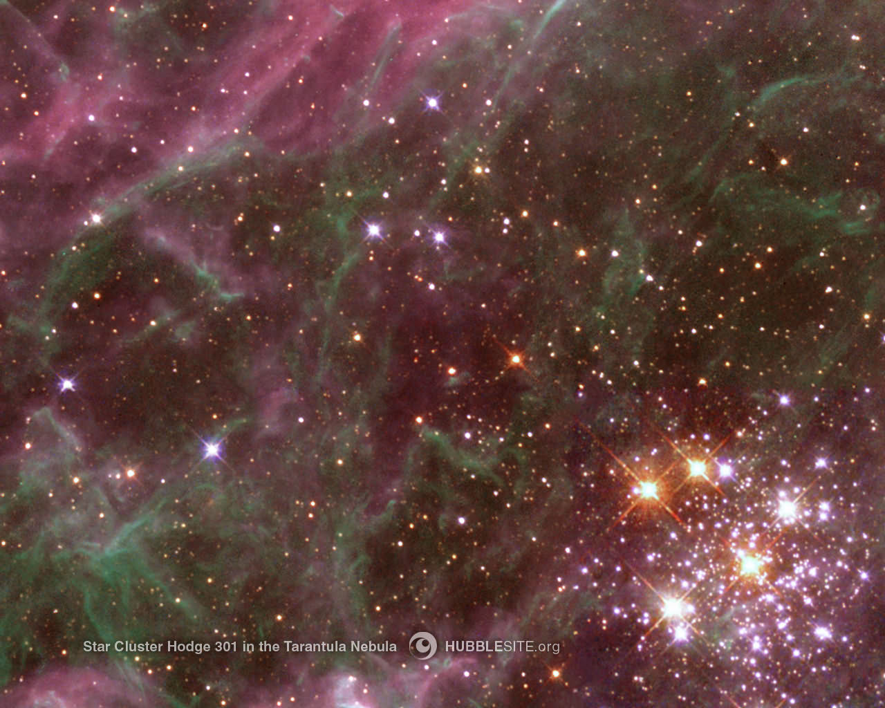 1280_wallpaper_007.jpg