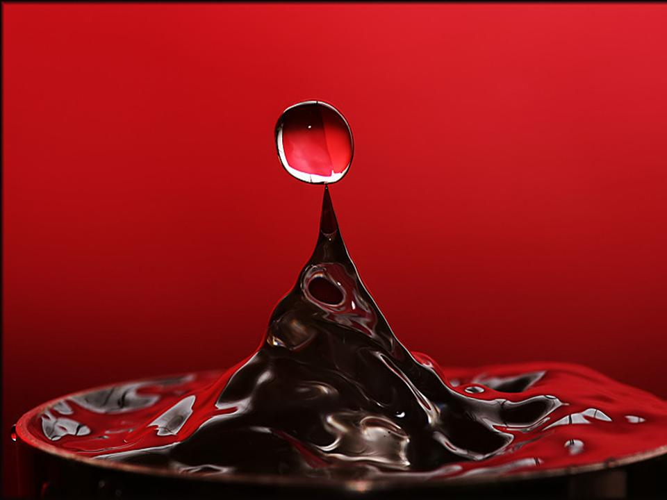 Untitled 17.jpg
