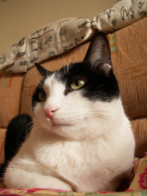 PICT0639.jpg