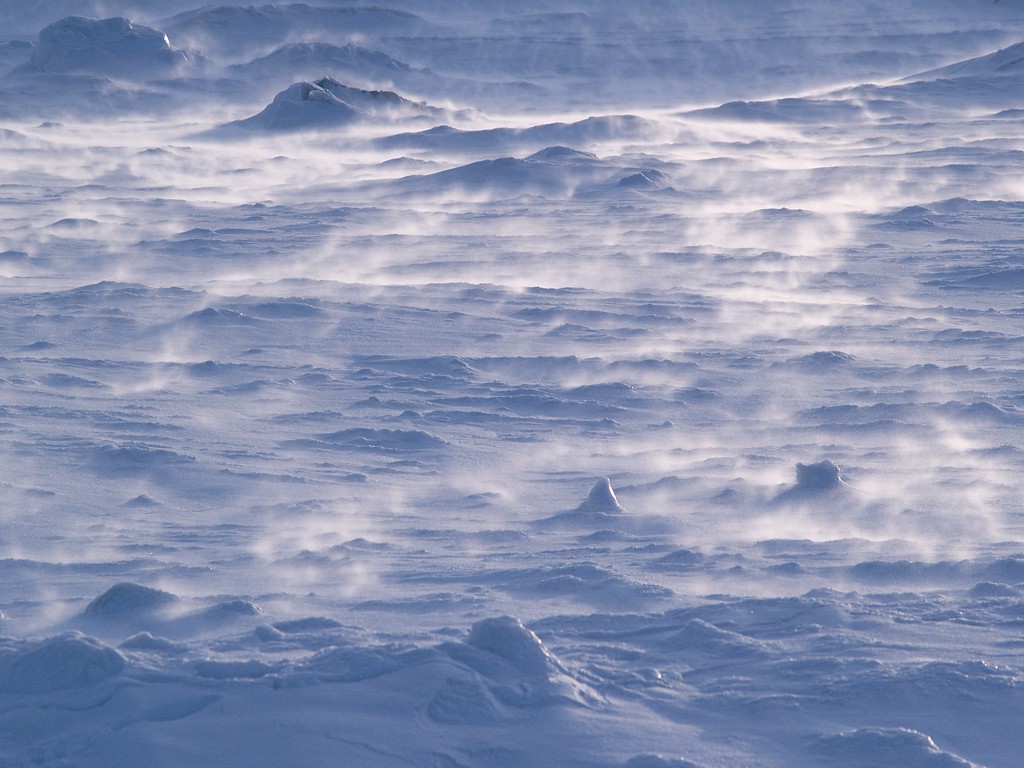 060411-3211.x.jpg