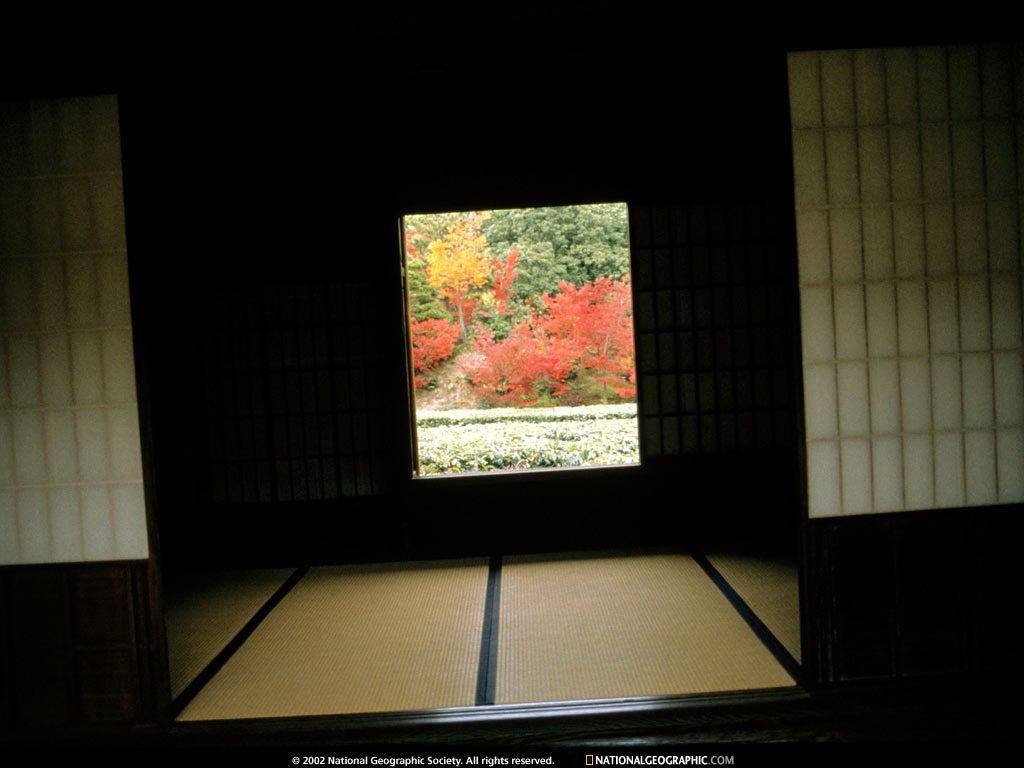 BK-SeeingGardensp27.jpg