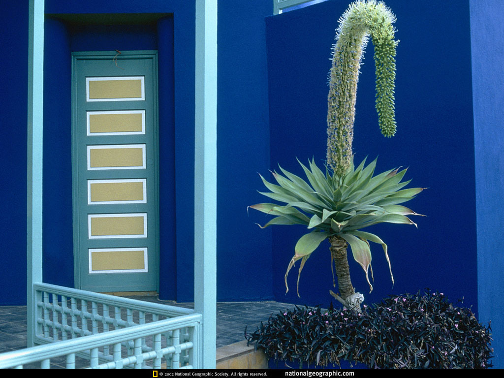 BK-SeeingGardensp61.jpg