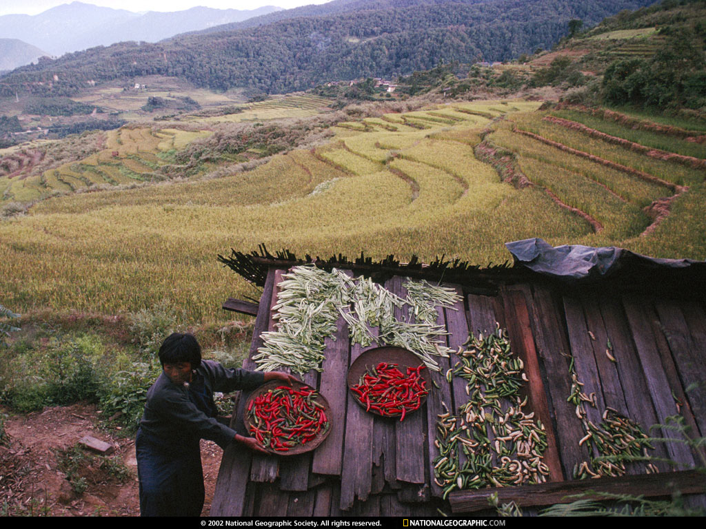 NGM1991_05p90-1.jpg