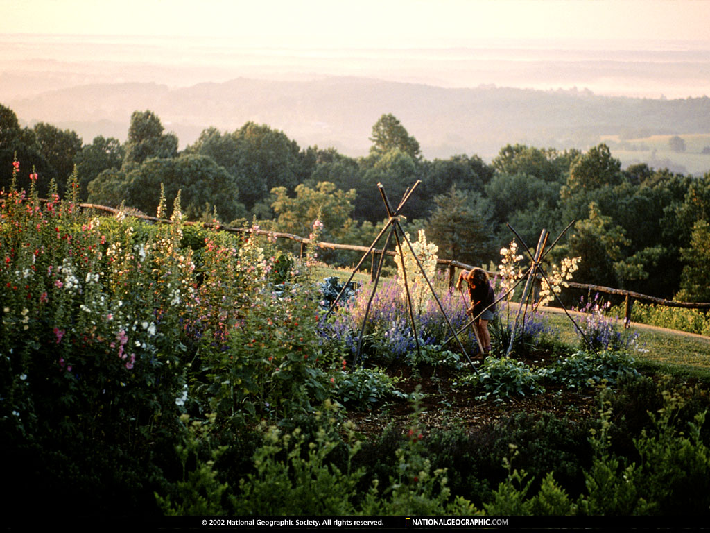 NGM1992_05p80-1.jpg