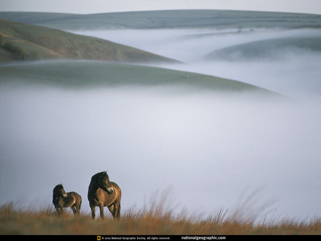 NGM1993_09p116-7.jpg