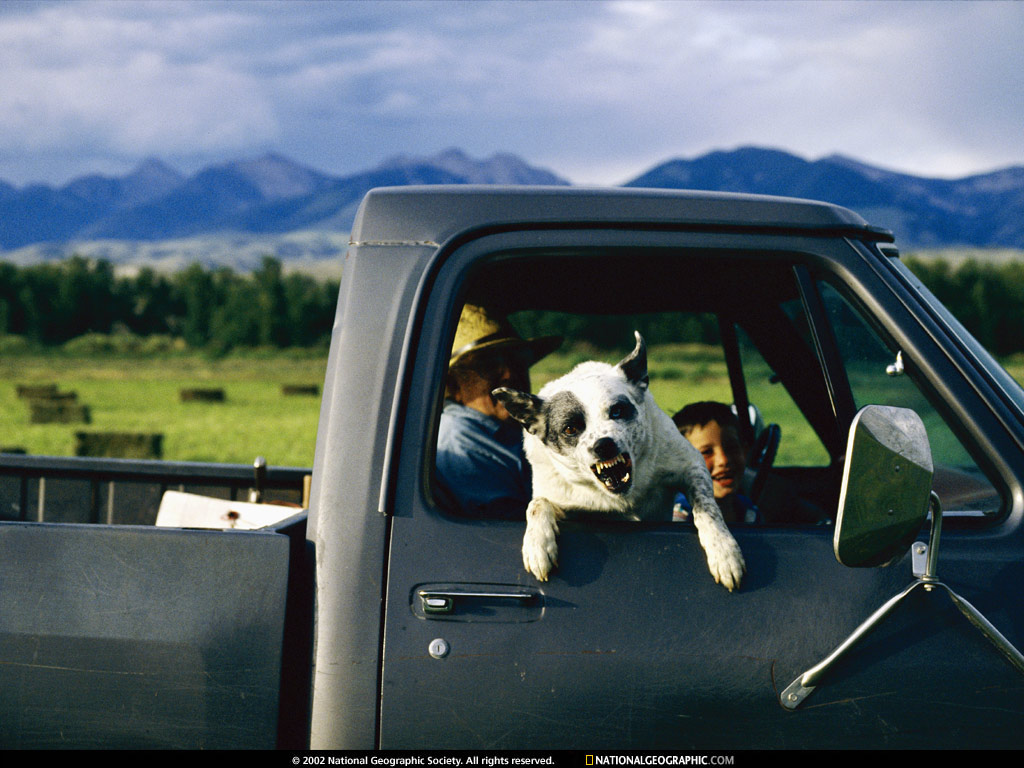 NGM1994_02p14-5.jpg