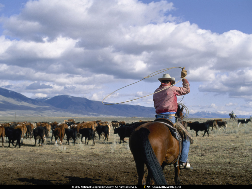 NGM1994_02p2-3.jpg