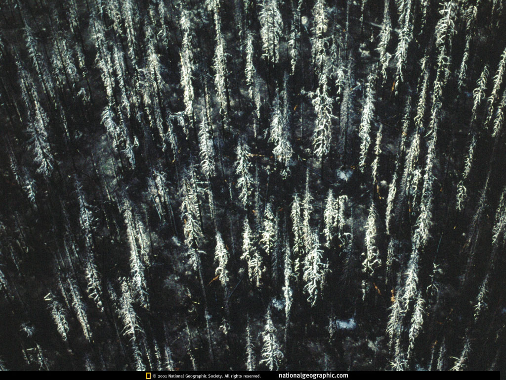 NGM1996_09p120-1.jpg