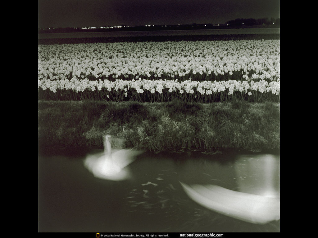 NGM1997_10p100-1.jpg