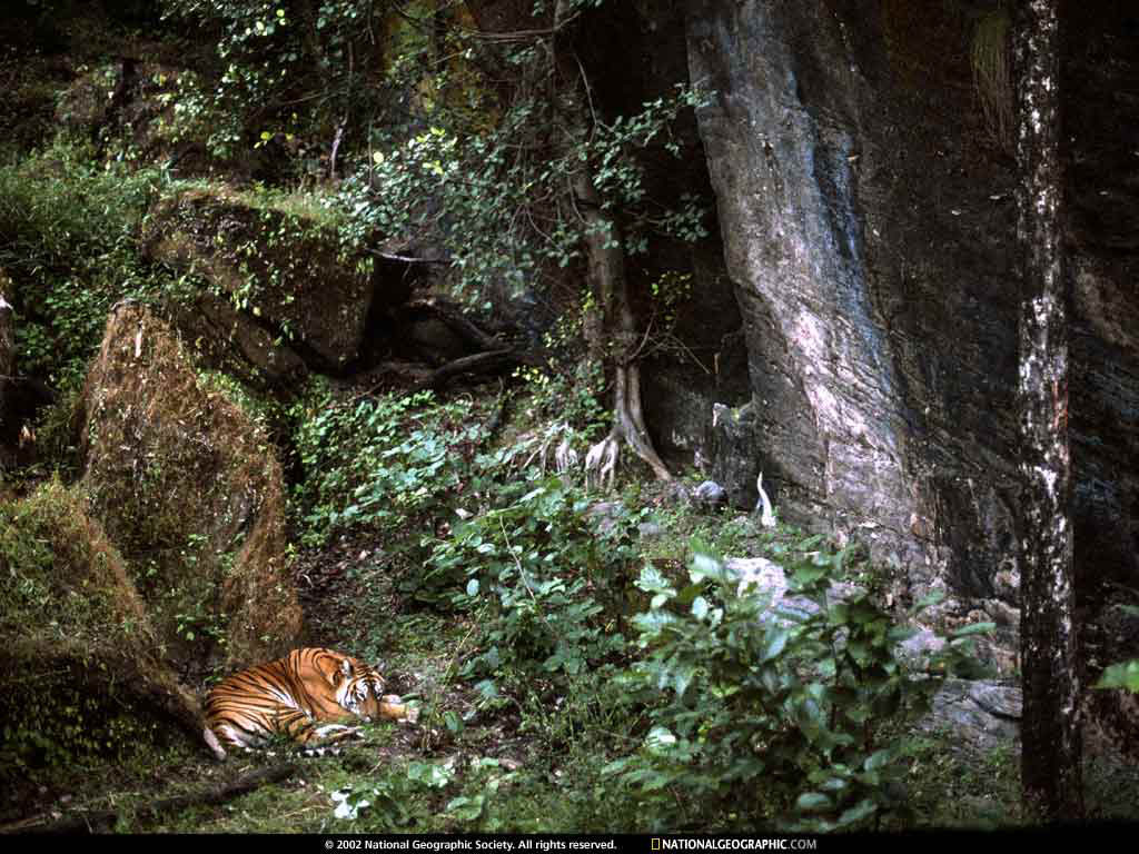 NGM1997_12p2-3.jpg