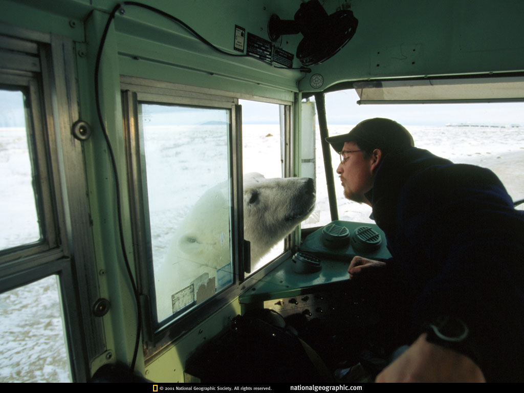 NGM1998_01p64-5.jpg