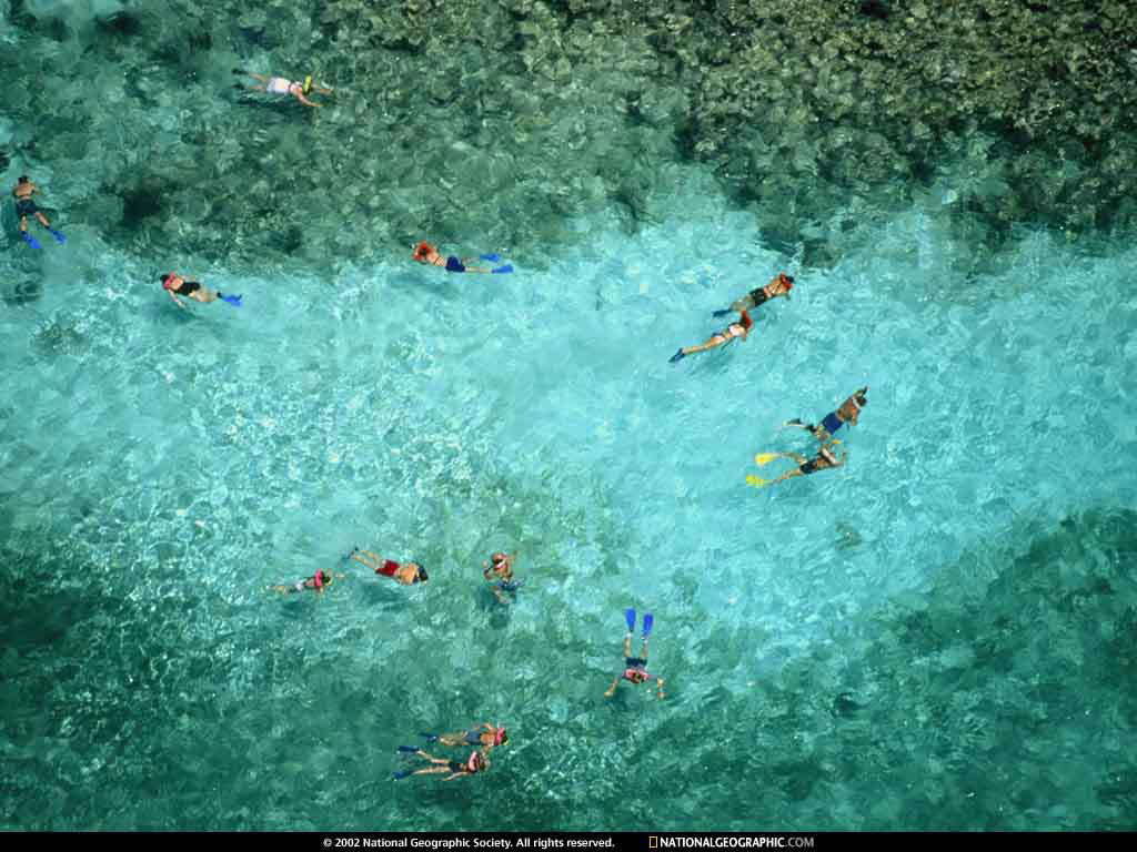 NGM1998_03p28-9.jpg