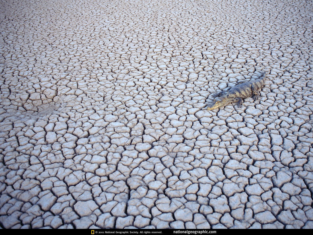 NGM1998_04p16-7.jpg