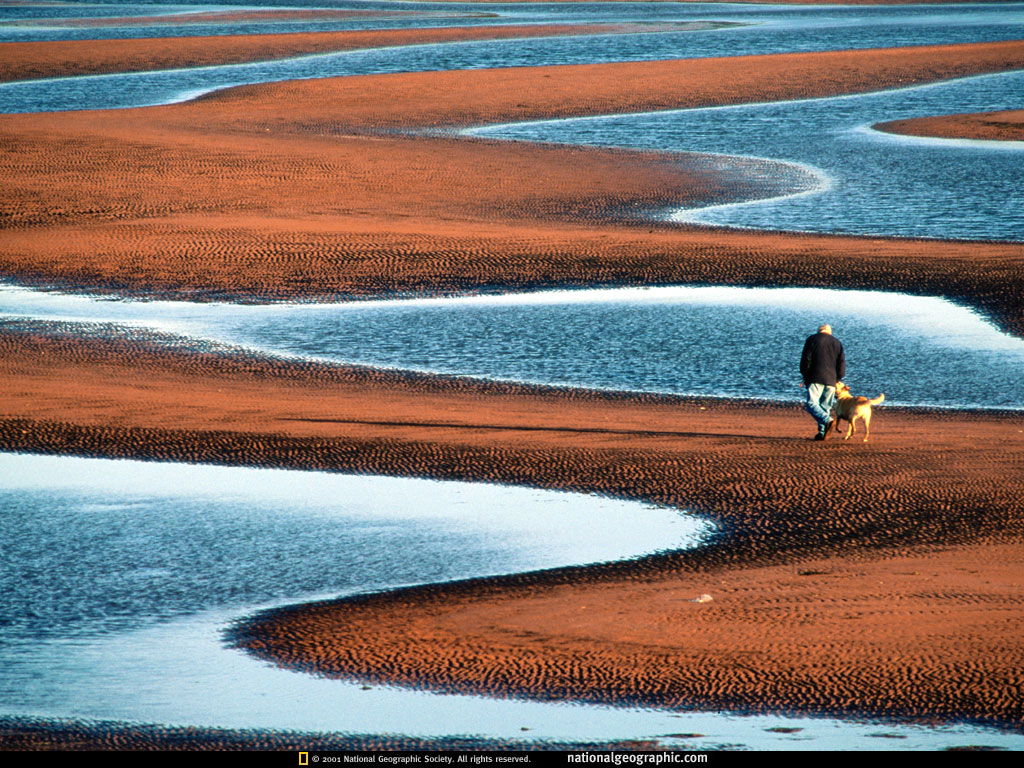 NGM1998_05p106-7.jpg