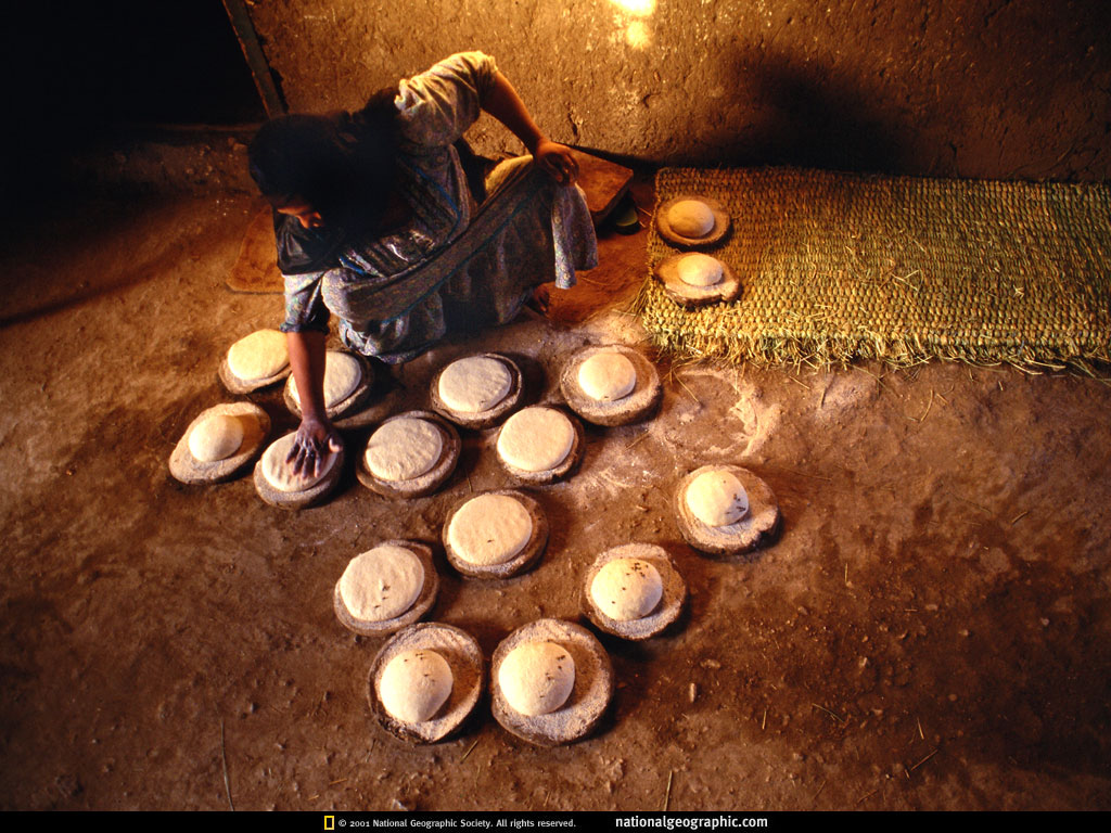 NGM1998_08p24-5.jpg