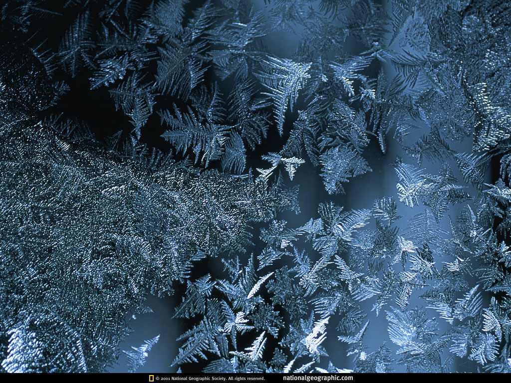 NGM1998_09p75-6.jpg