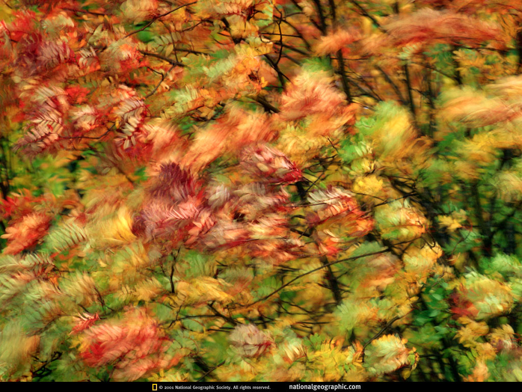 NGM1998_09p77-8.jpg