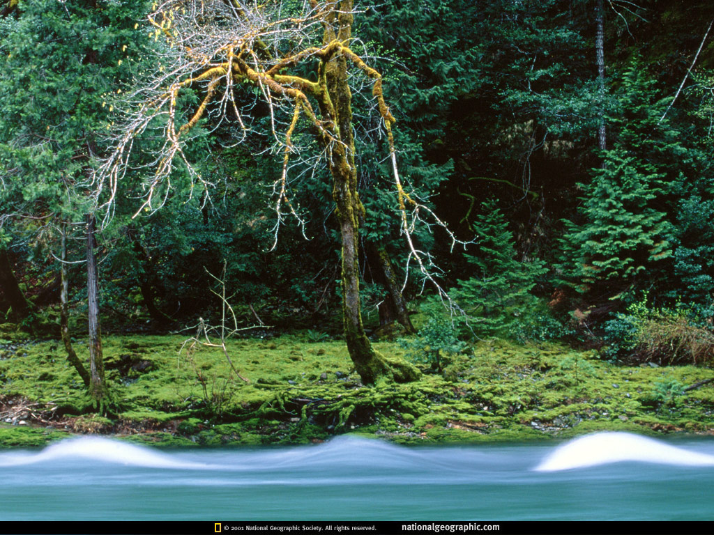 NGM1998_11p2-3.jpg