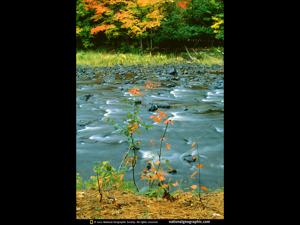 NGM1998_11p20.jpg