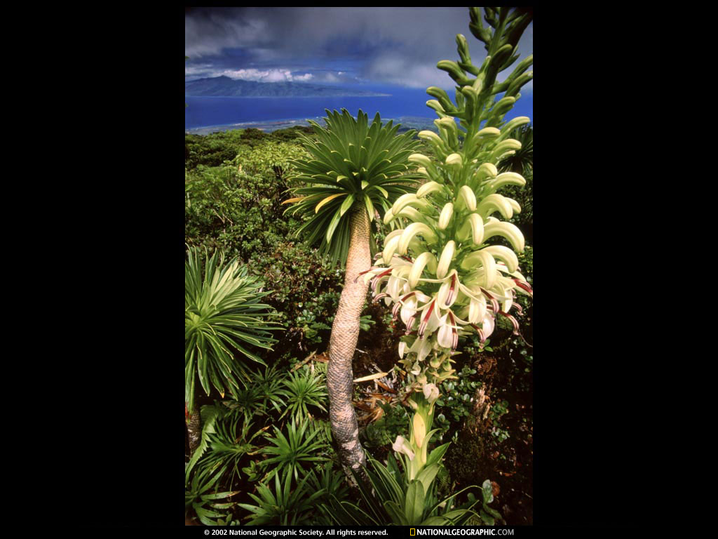 NGM1999_02p29.jpg