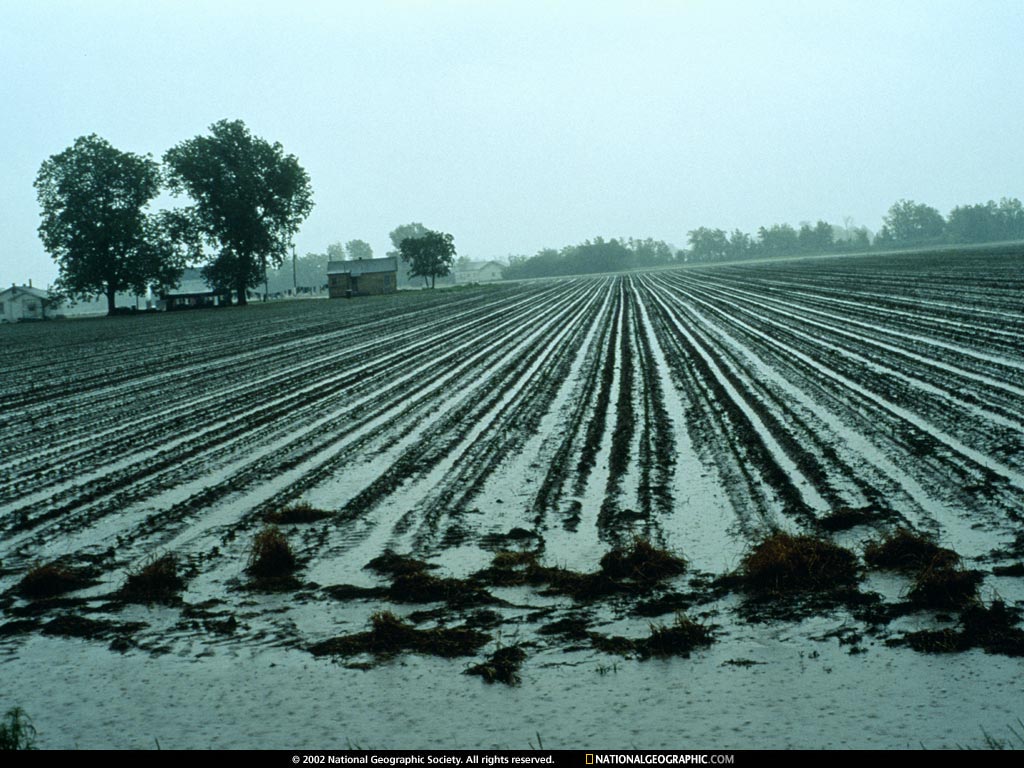 NGM1999_04p48-9.jpg