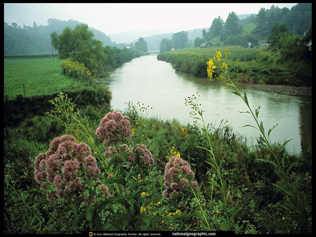 NGM1999_06p136-7.jpg
