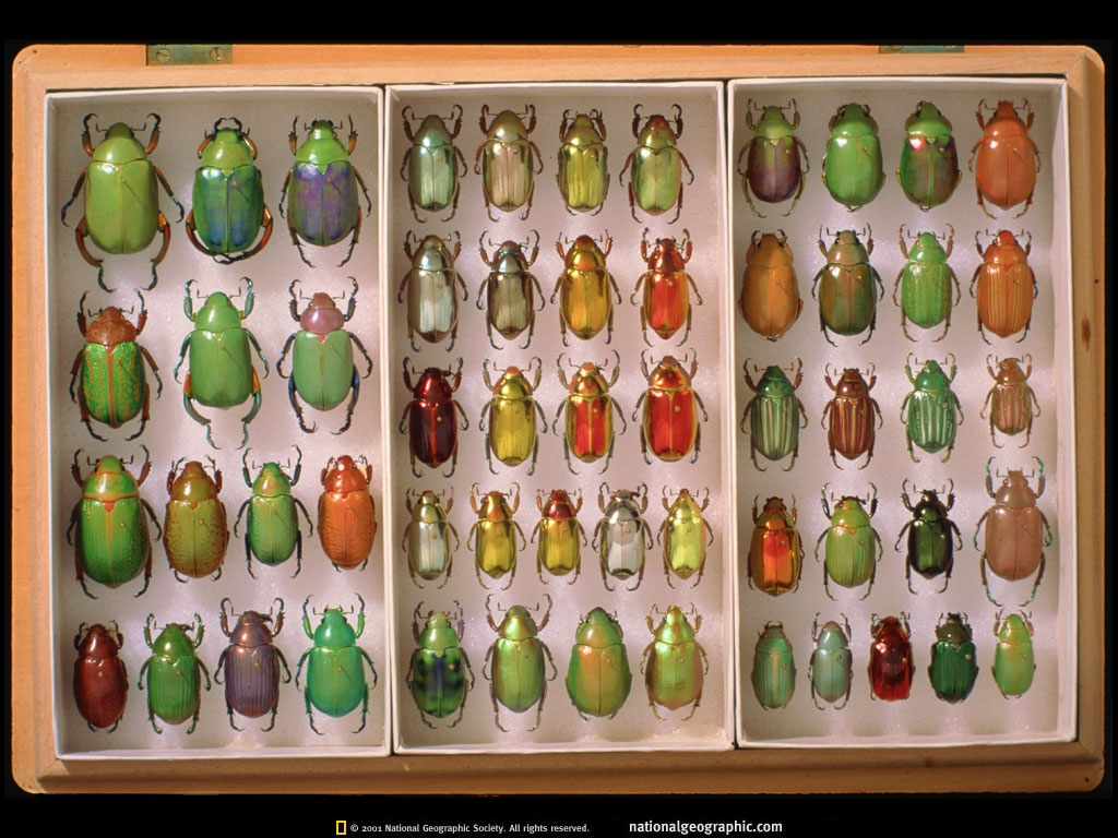NGM2001_02p54-5.jpg