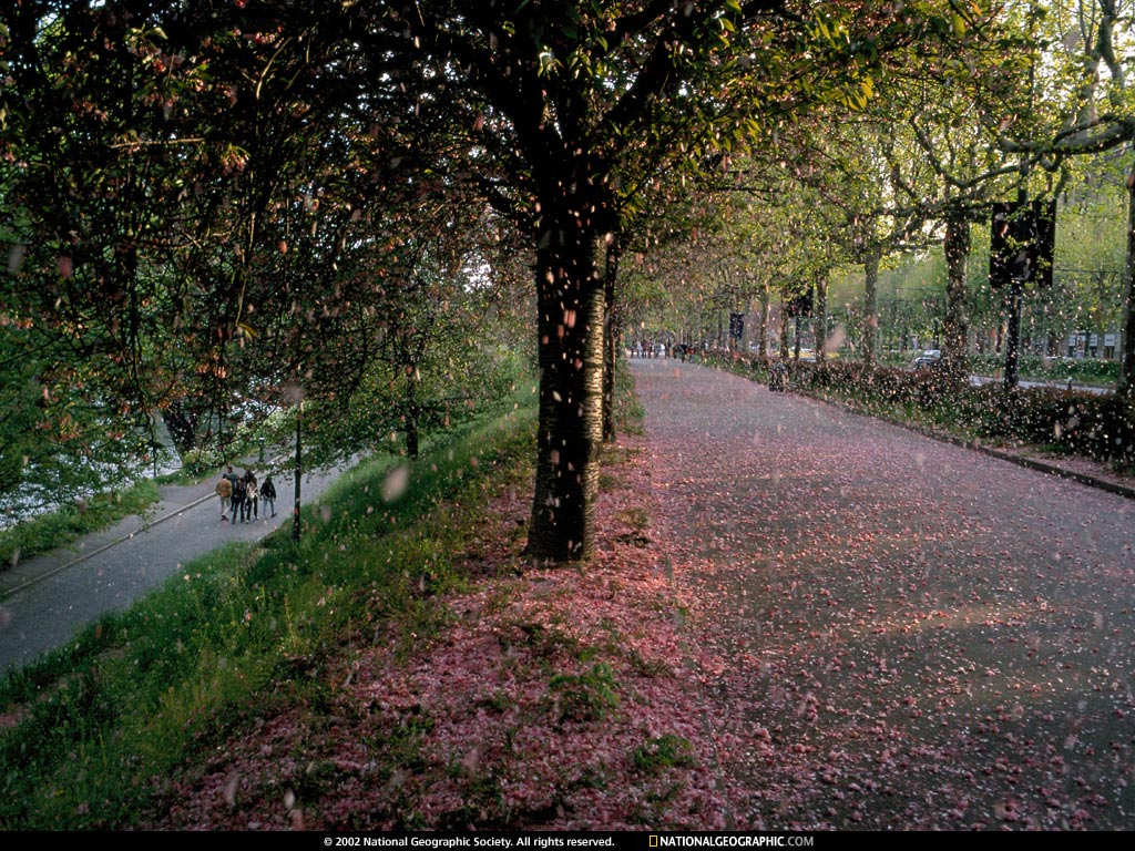 NGM2002_05p114-5.jpg