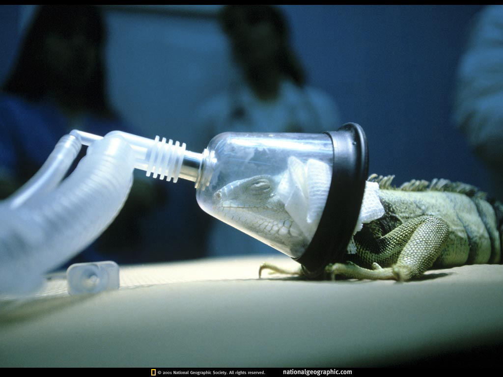 World1998_12p16LoRt.jpg