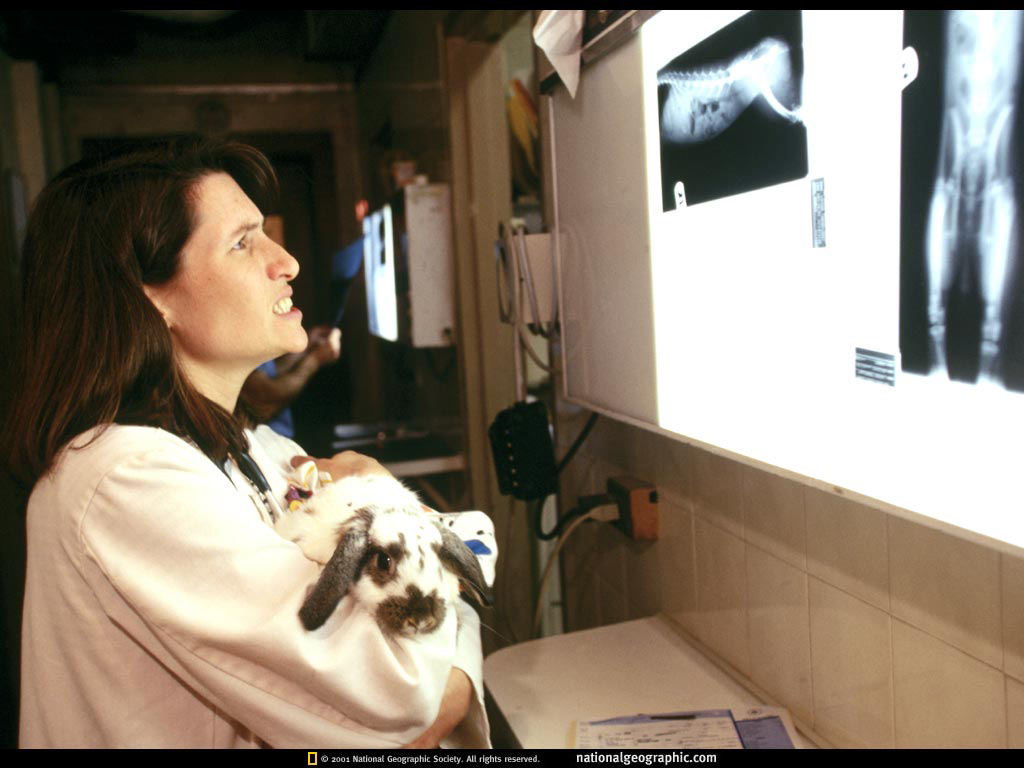 World1998_12p17Lo.jpg