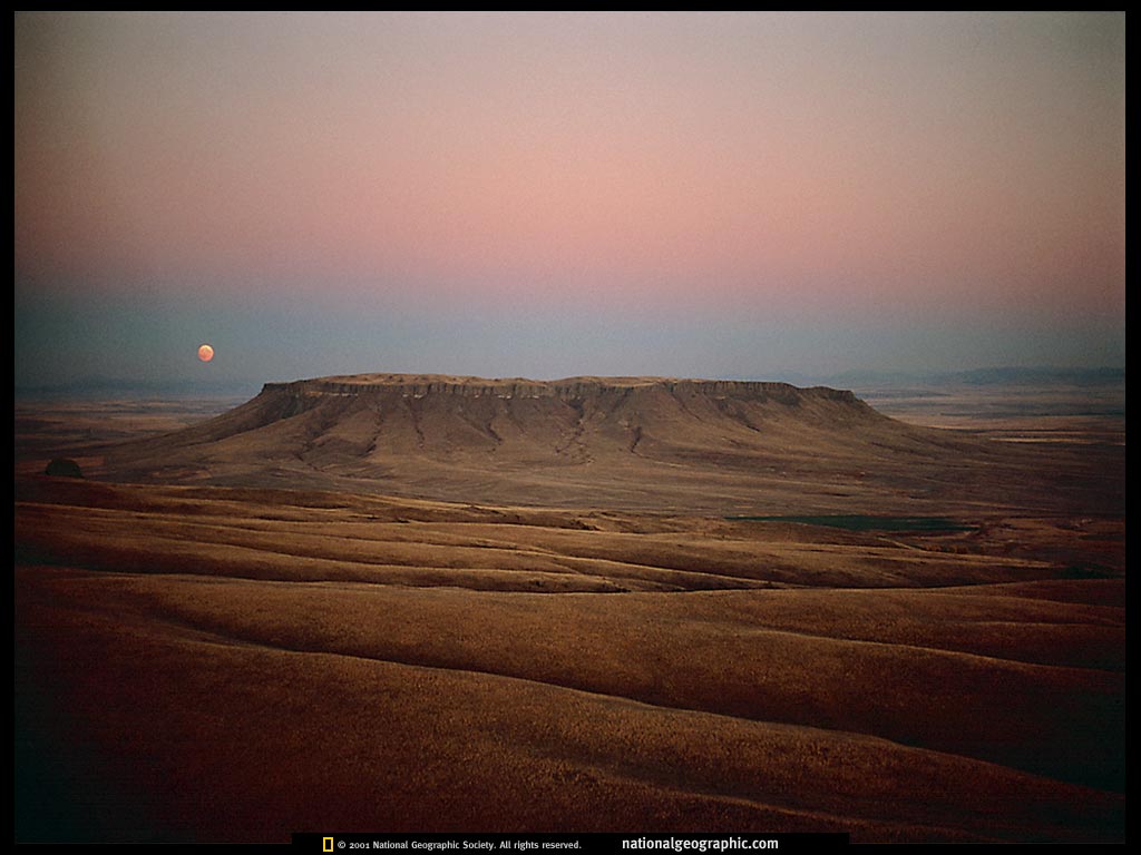 imageAbelllandscape.jpg