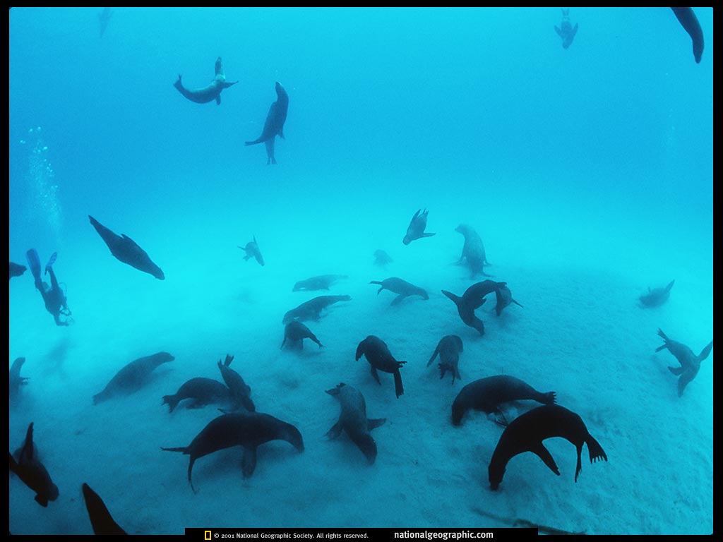 ngm1999_04p40-1.jpg