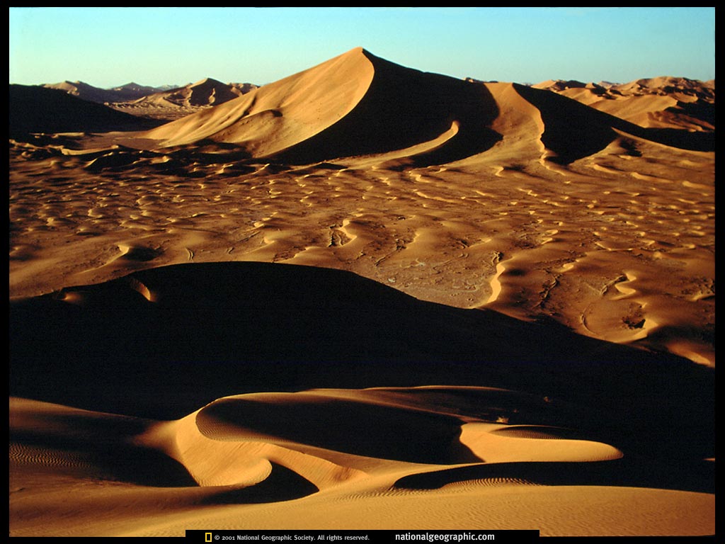 ngs1_576.jpg