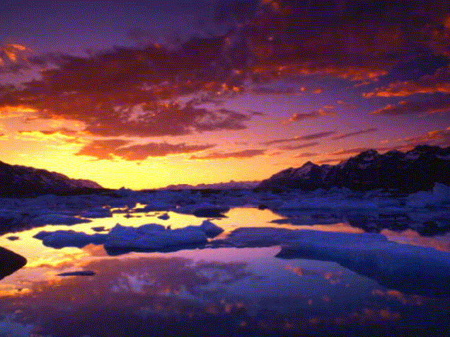 05sc006.gif
