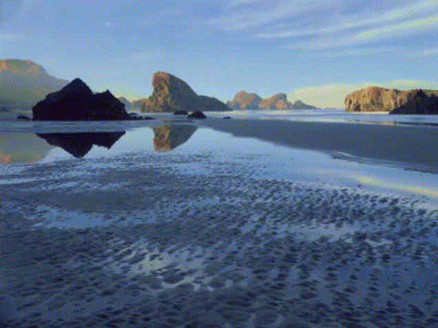 08sc017.gif