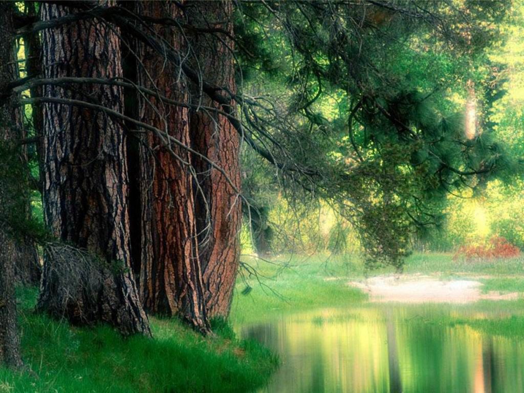 1024_nature005.jpg