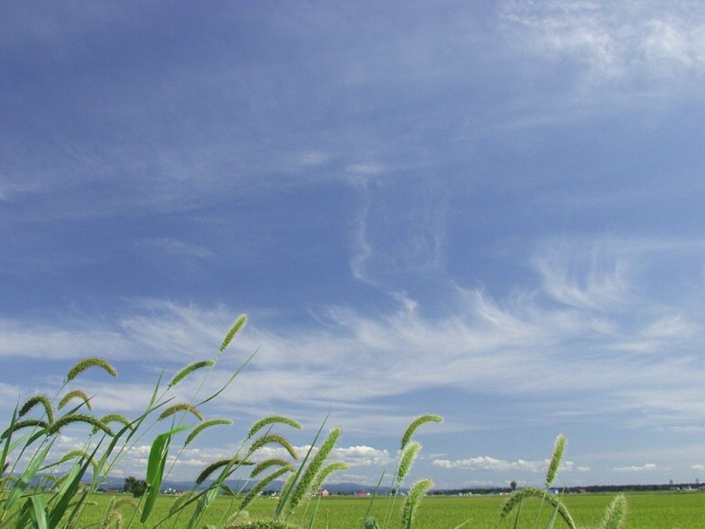 1024_nature011.jpg