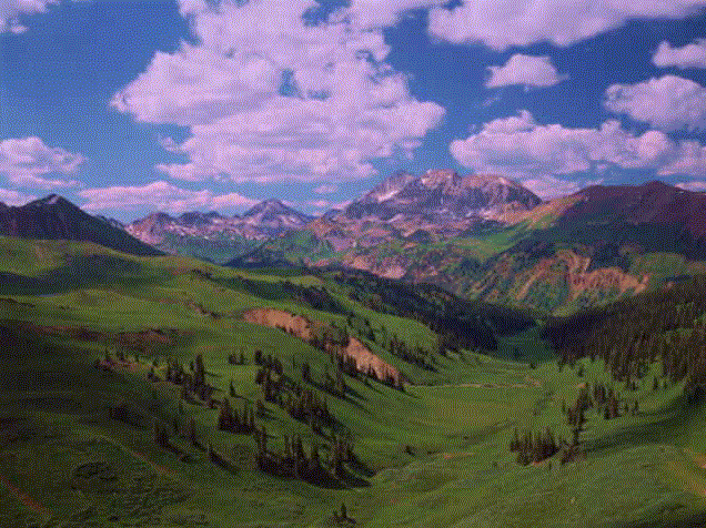 17sc090.gif