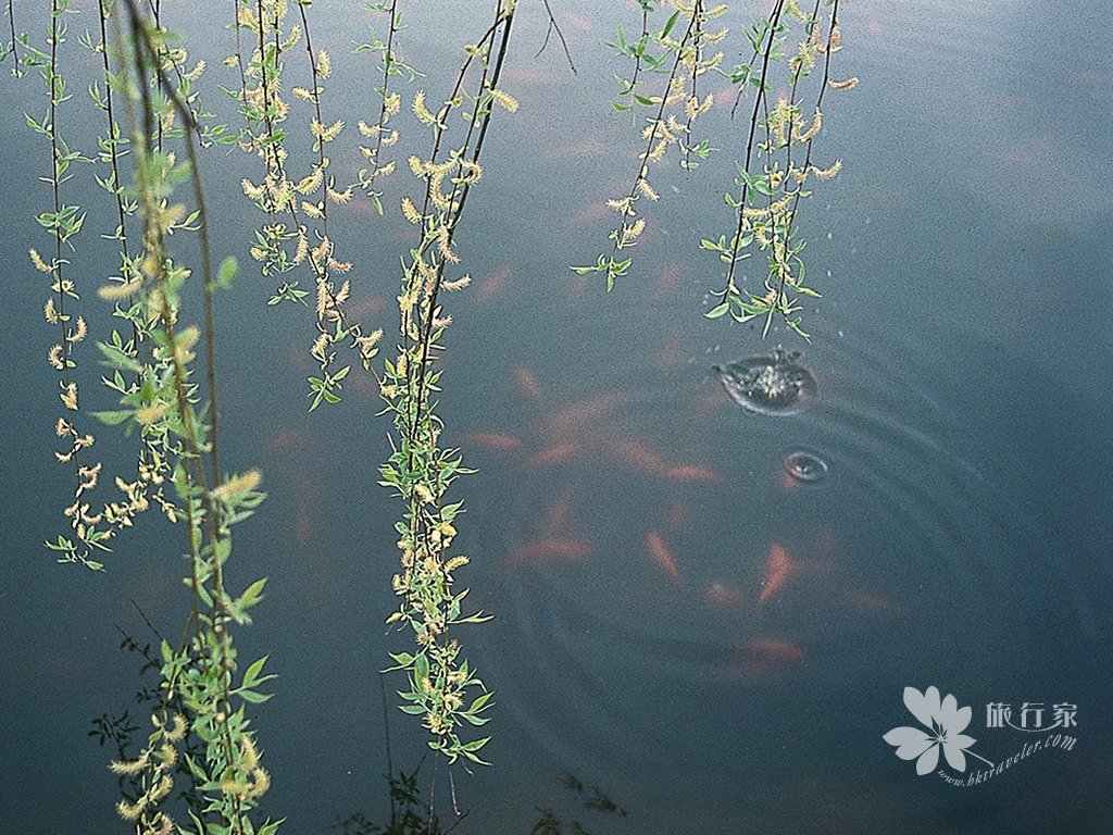 23_1024.jpg