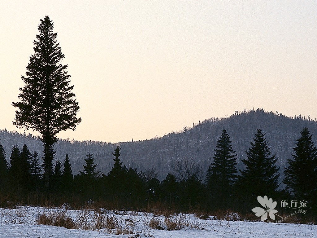 24_1024.jpg