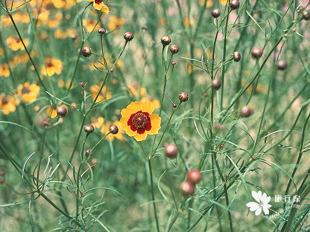 25_1024.jpg