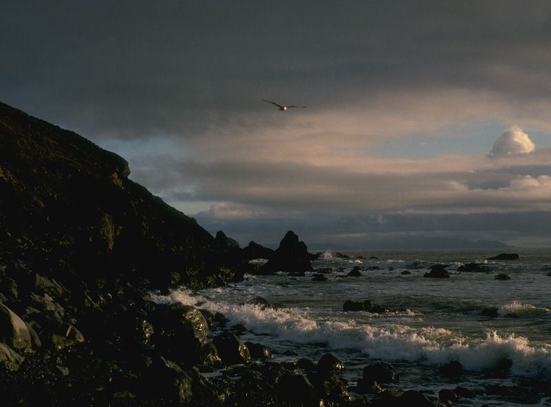 ocean1_large.jpg