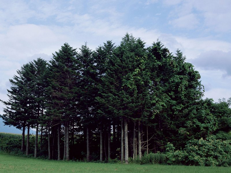 scenery02m.jpg