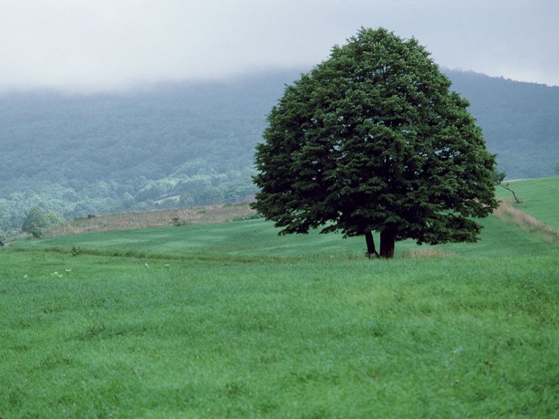 scenery03m.jpg