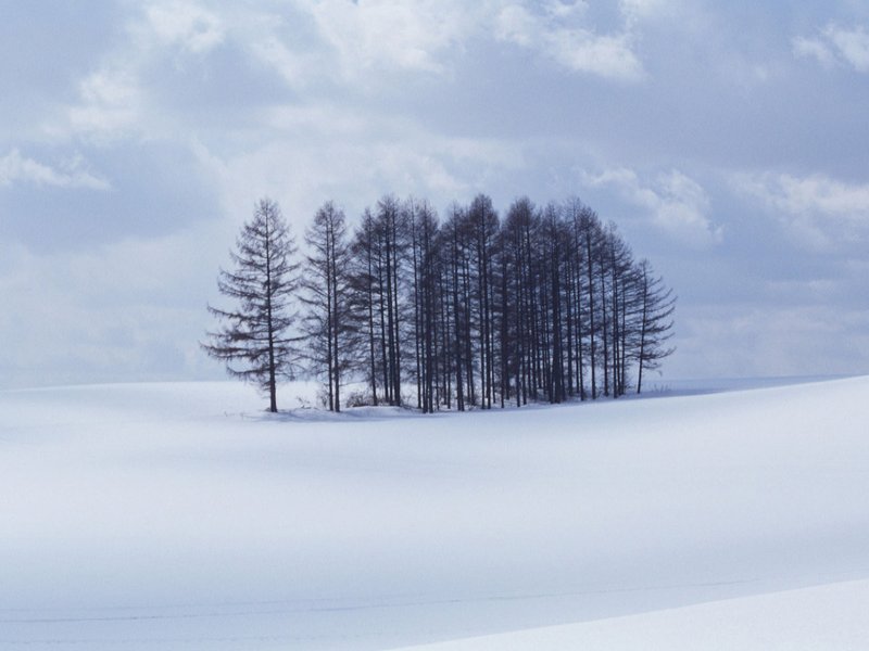 scenery07m.jpg