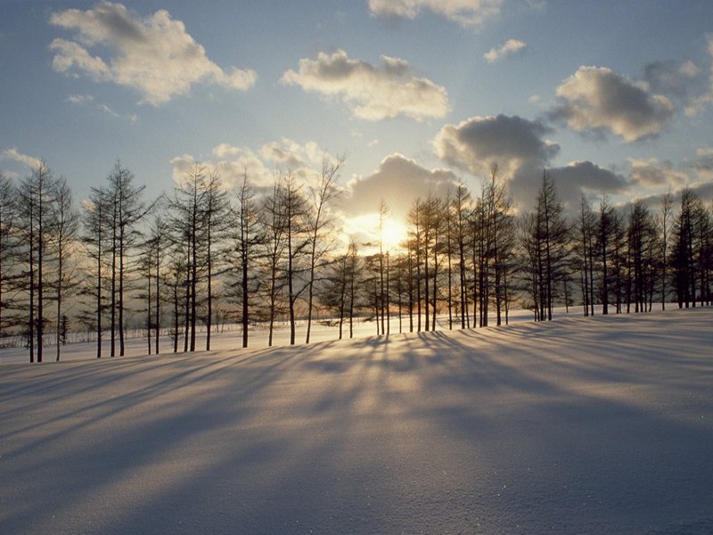 scenery08m.jpg