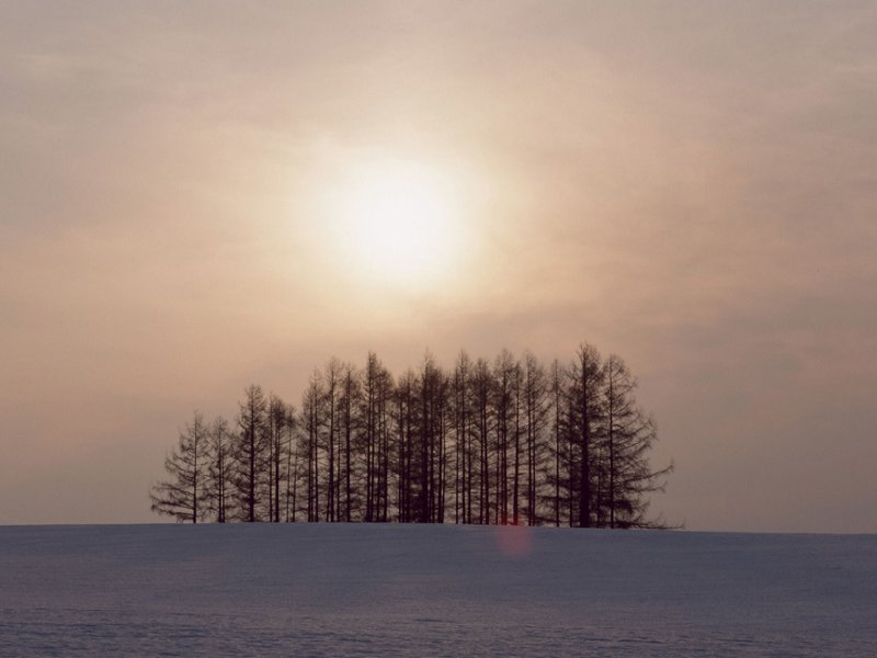 scenery09m.jpg